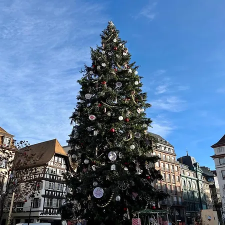 Design Nuee Bleue Equipe Centre Appartement Straatsburg